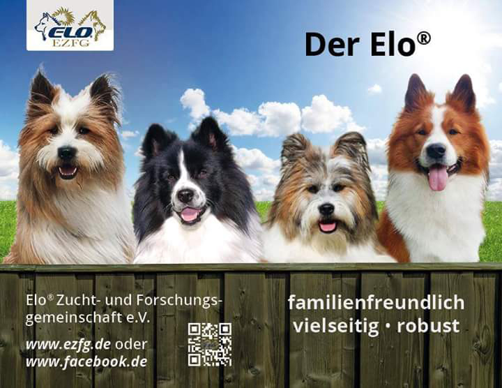 Der-Elo