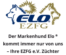 EZFG-Zuechter-ELo