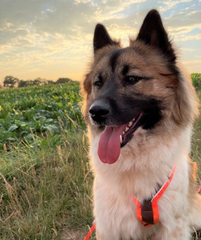 Calissa von den Neckarauen